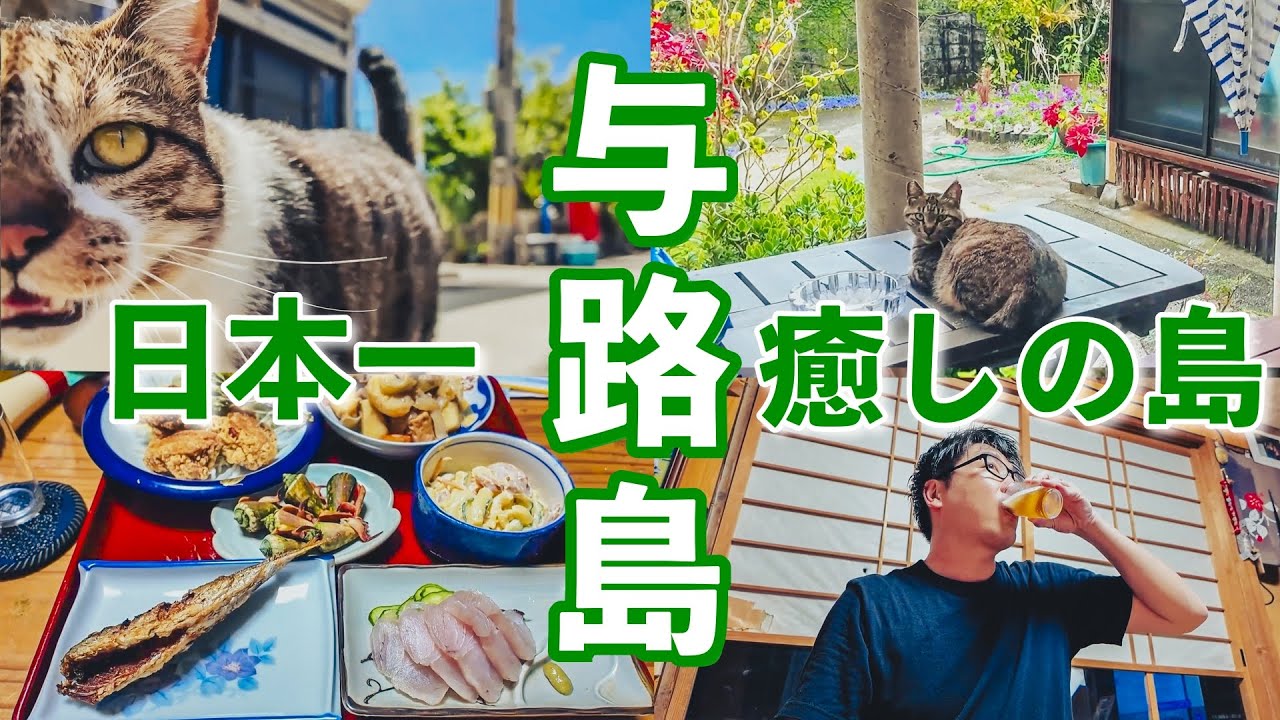 日本一癒される与路島で猫にビールにご飯🍺平和すぎて何も起こりません(後編)【奄美群島 #7】
