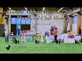 Finnish Afghan Hound Club's Unofficial Club Show 2019 の動画、YouTube動画。