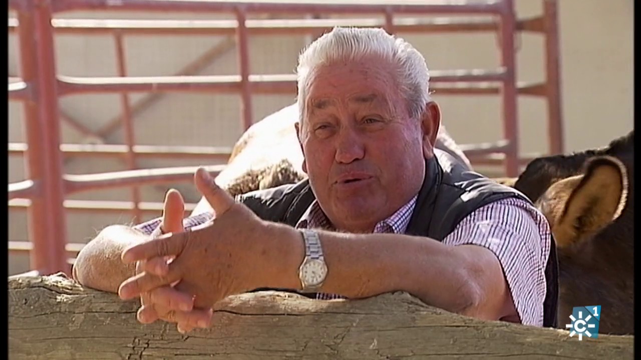 Tierra y Mar | Últimos tratantes de ganado de Andalucía.