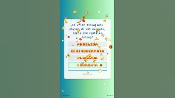 The ULTIMATE General Knowledge Quiz! Test Your Brain! | PART 260 | Digital Bullet