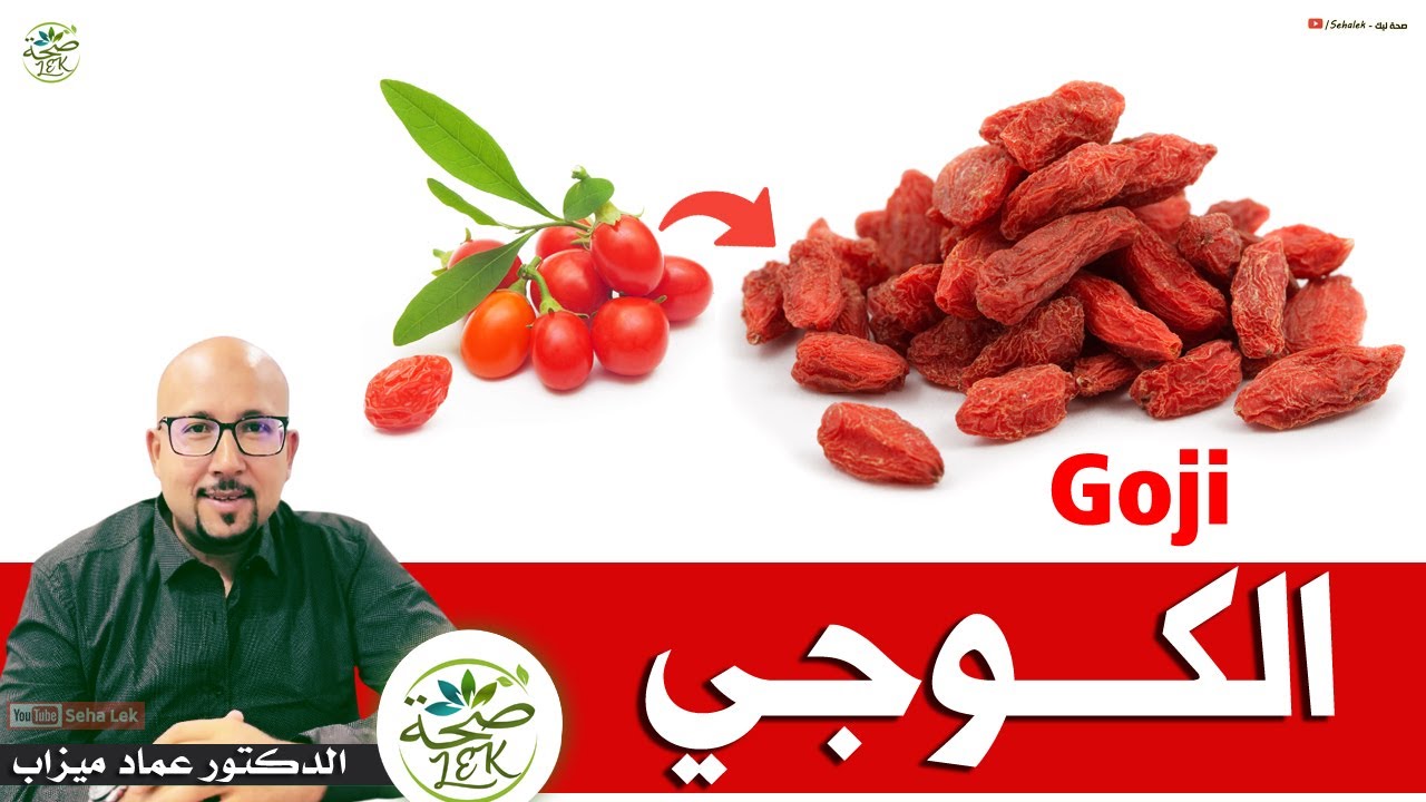 الكوجي وفوائده الصحية Goji / د. عماد ميزاب Doctor imad mizab