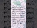 Beautiful solo by @tennysonmusic #transcription