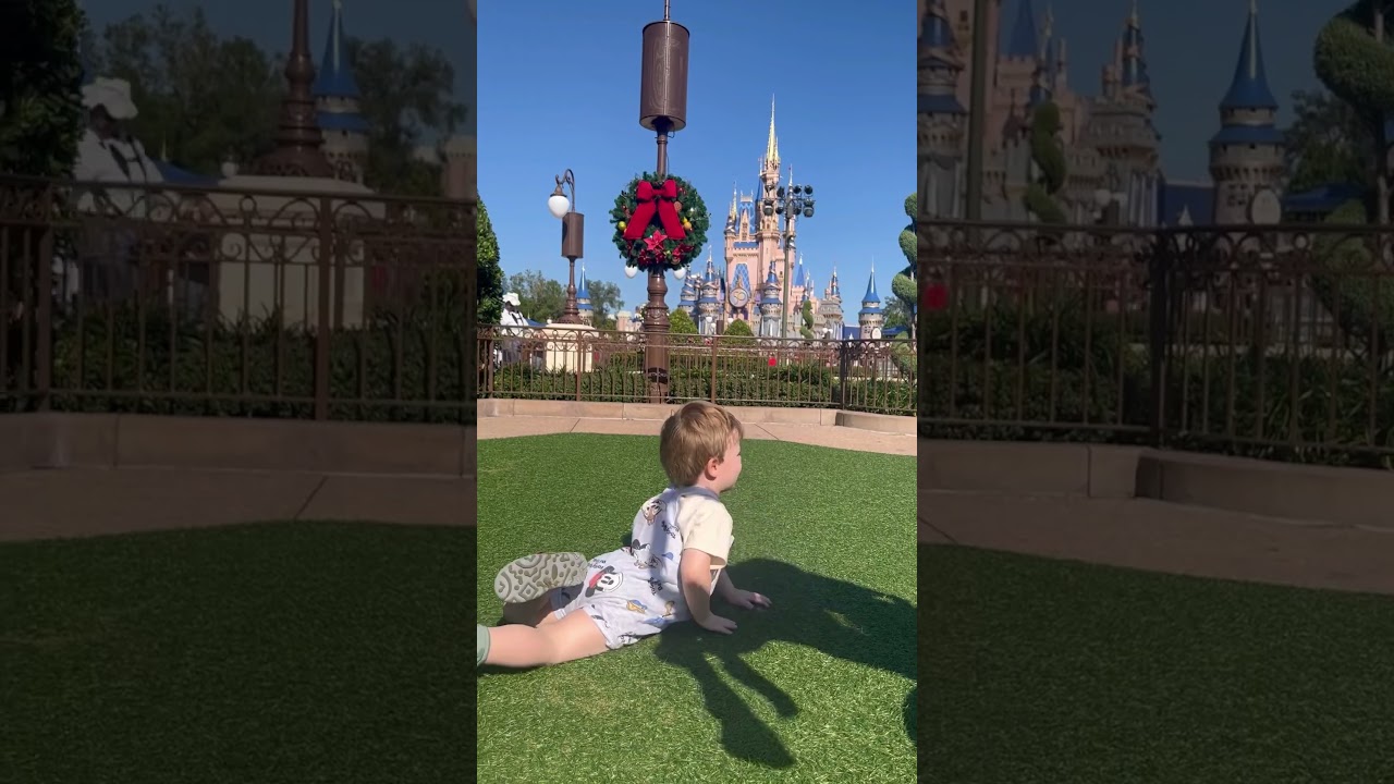 Hub Grass at Magic Kingdom is the best spot forto play and relax. 