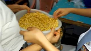 Praktek Prakarya Susu Kedelai Sma N 1 Sibolga