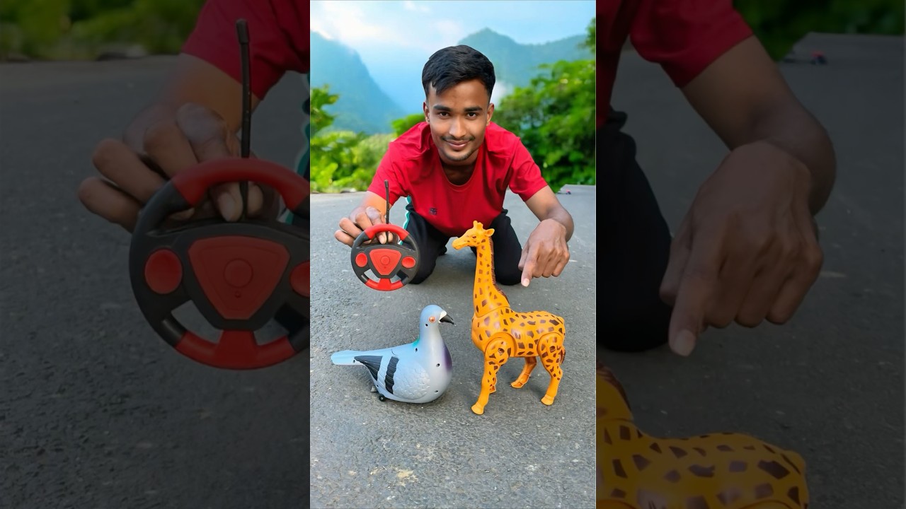 RC Birds And Remote Control Giraffe Ki Unboxing