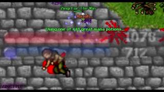 Zingi Ftw Tibia Solo Soloed With A Epic Ending 1337 Style