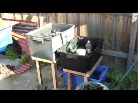 Brett's Mini Aquaponics System - YouTube