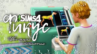 Фикус |The Sims 4| #22 Оперируем собаку | Bloom Legacy Challenge