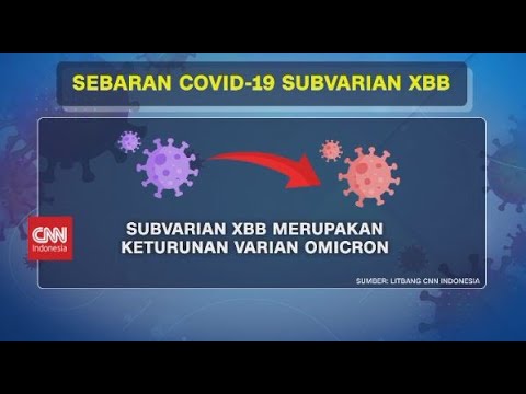 Mengenal Covid-19 Subvarian XBB
