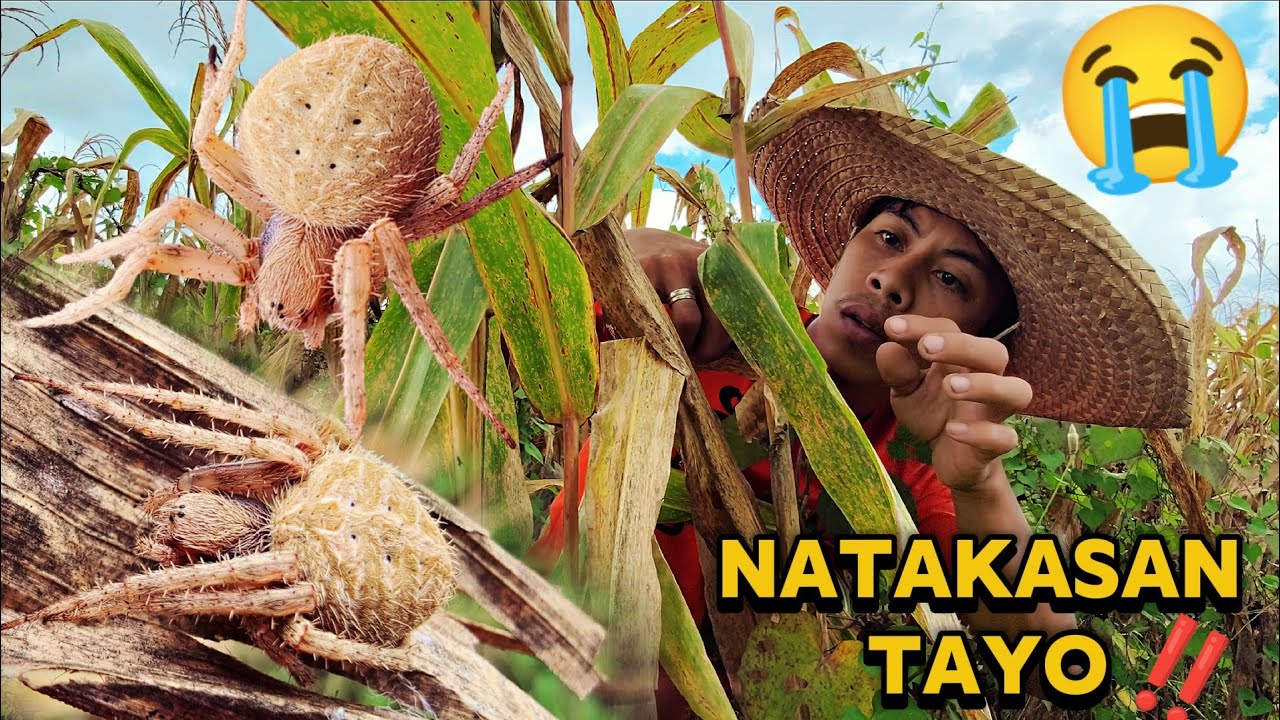 MAS DUMADAMI NA SILA NGAYON 😱.