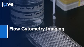 Flow Cytometry Imaging for T Cell Alloreactivity | Protocol Preview