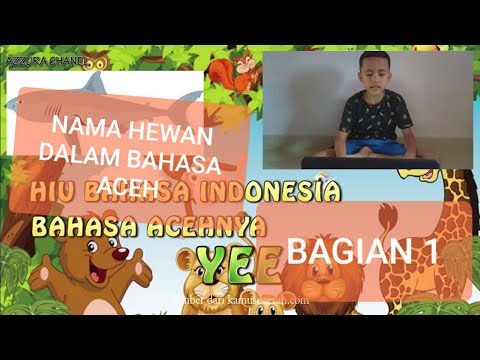 NAMA HEWAN DALAM BAHASA ACEH BAGIAN 1 YouTube NAMA HEWAN DALAM BAHASA ACEH BAGIAN 1 YouTube