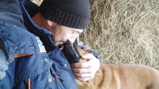 картинка: Готовим сено козам на неделю