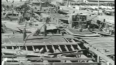 Wings over the Pacific