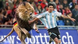 Invasiones Locas de Animales en Partidos de Futbol - Así Reaccionan los Jugadores