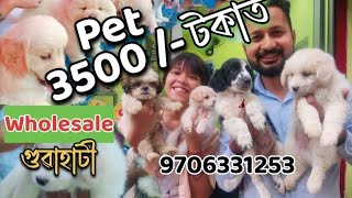 dog market in guwahati | মাত্ৰ 3500 টকাত ধুনিয়া ধুনিয়া dog | pets market in guwahati |