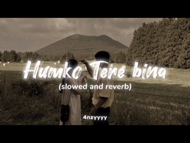 Humko Tere bina | slowed and reverb | 4nzyyyy class=