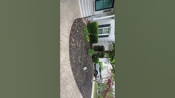 Mulch Installation - Raleigh, NC 5/5/2025 #augustanation #raleigh #mulching