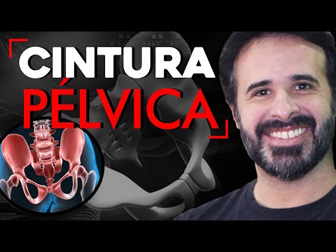 Vídeo: Quais ossos compõem a cintura pélvica?