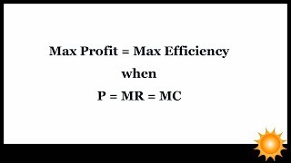 Profit vs Efficiency Maximization