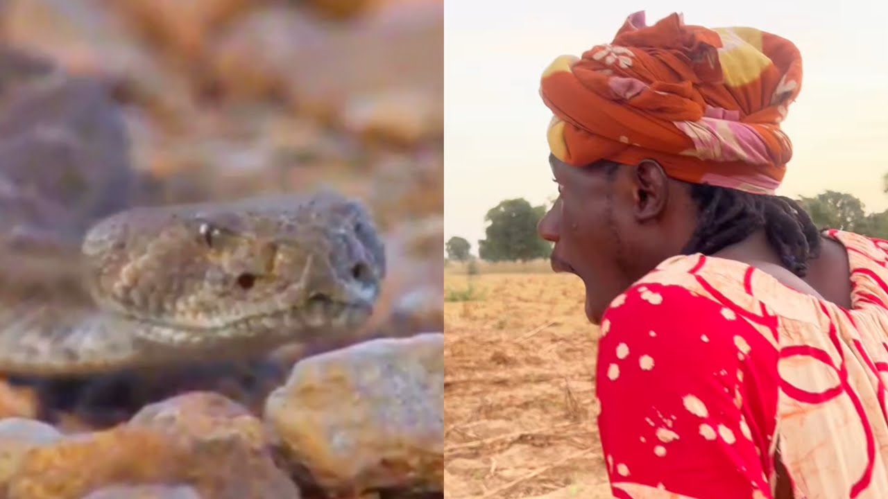 Kadja Wara en voulant rencontrer les diables elle rencontre le serpent