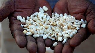 Bill Gates: GMOs Will End Starvation in Africa