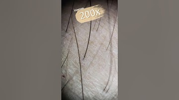 Maximum zoom on my hand #macro #asmr #shortvideo #amazing #shorts