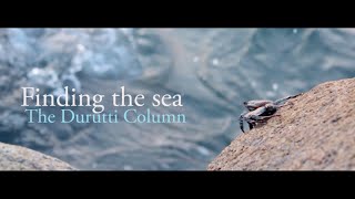 The Durutti Column - Finding the Sea | MUSIC TO OBSERVE