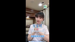 宋祖儿♡乐而雅宠爱肌 × 大耳狗●透气之旅巴士礼盒