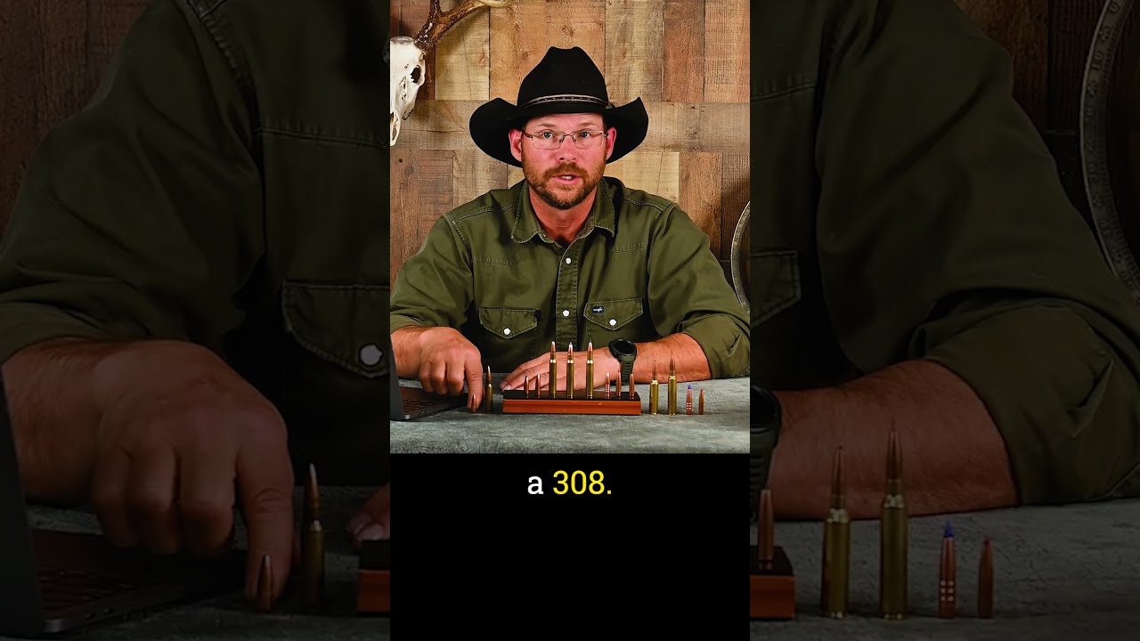 The Best Bullets For 30 06