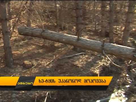 ხე-ტყის უკანონოდ მოპოვება