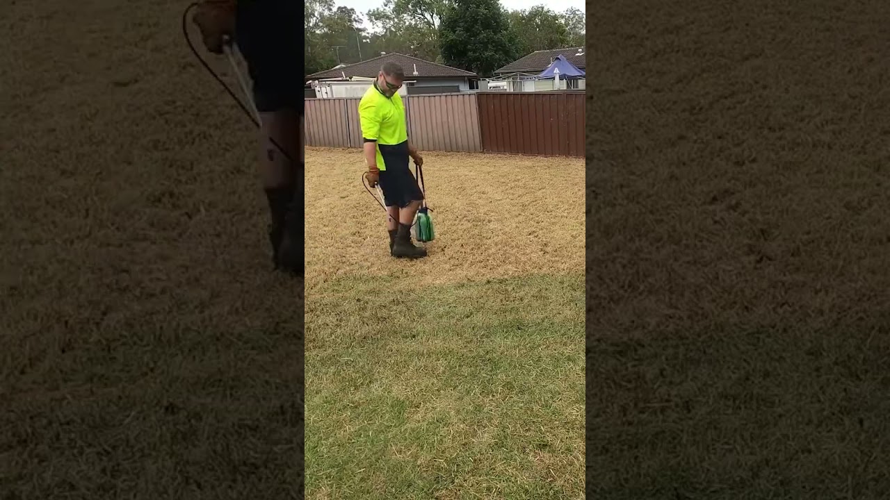 Cutting Down 2 Years Worth Of Growth