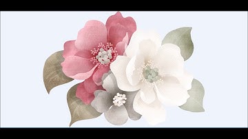 Everlasting Collection Video Kit Release | Nitwit Collections™