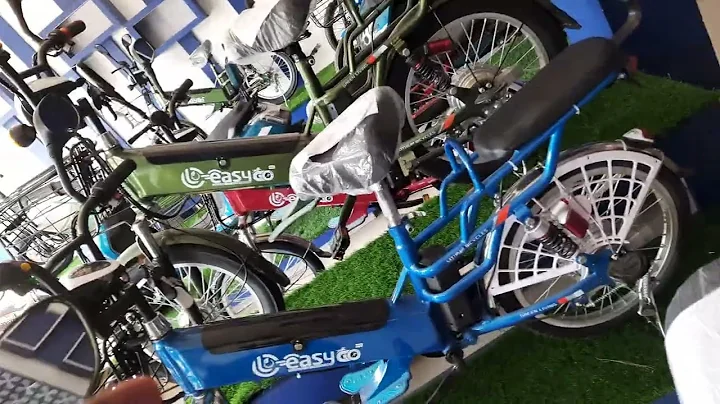 Easy Go Electric Cycle Nepal