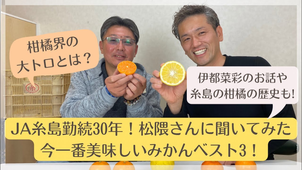 097 正直高い!だけど美味い!甘〜いみかん(^O^) 097 正直高い!だけど美味い!甘〜いみかん(^O^)