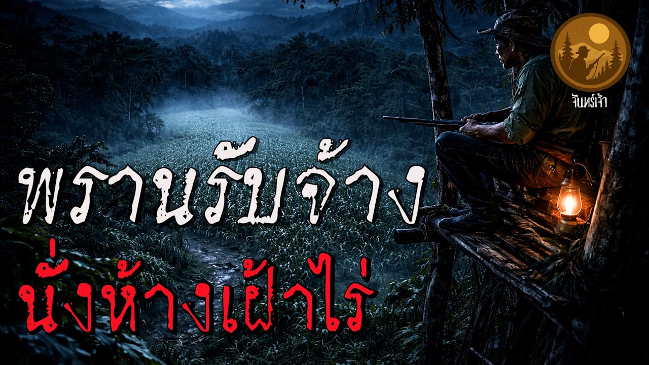 พรานรับจ้างนั่งห้างเฝ้าไร่ | จันทร์เจ้า