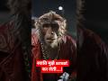 "Swati Ke Liye Monkey Ka Pyaar 😍❤️" Monkey Video Funny Monkey video #monkey #monkeyvlog #cartoon