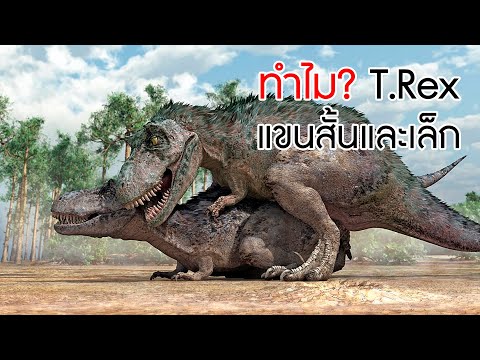 ทำไม.? ไดโนเสาร์อย่าง T.Rex จึงมีแขนสั้นและเล็ก