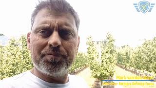 Vlog van Mark: "Samenvatting plan van Essen en oproep tot inventarisatie actiebereidheid: ✅"
