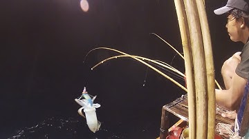 Được Một Ngày Mực Lớn |Câu Mực Biển Tây #11