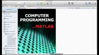 Lesson 1.2 The MATLAB Environment Net Worth