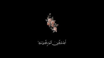 حالات واتس اب |القران الكريم| 🌼⁦❤️⁩