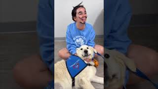 Halo Visiting A Trunk A Treat And The Weeki Wachee Mermaids 2025