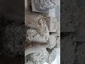 Most satisfying #textureasmr