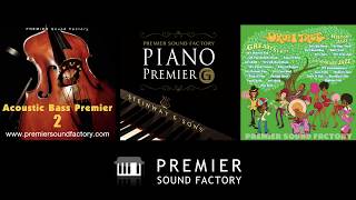 PIANO PremierG demo