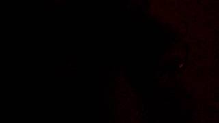 Reborn Vampire Doll Vittoria's EVP Session Reborn Vampire Doll Vittoria's EVP Session