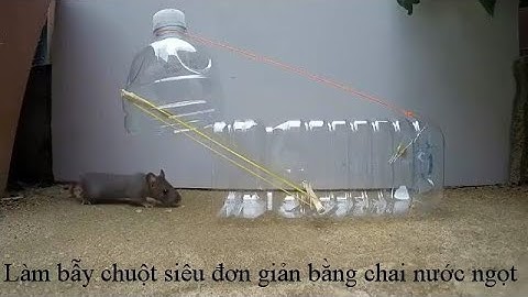 Làm bẫy chuột bằng chai nước ngọt #connguoivacuocsong