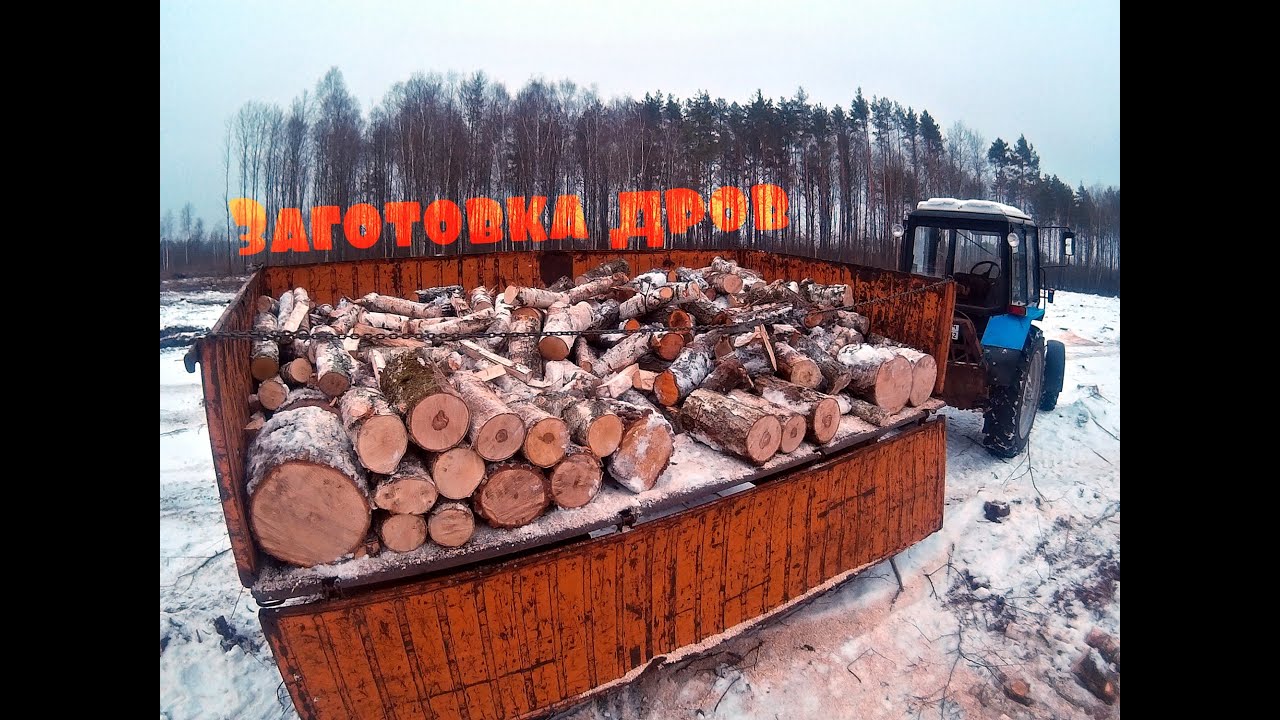  дров в лесу - YouTube