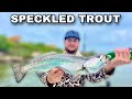 Using live shrimp to catch limits of speckled trout catch  cook