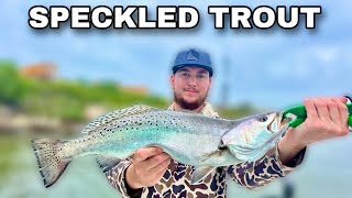 Using LIVE SHRIMP to catch LIMITS of SPECKLED TROUT! (Catch & Cook)